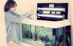 Как обустроить аквариум для рыбок
