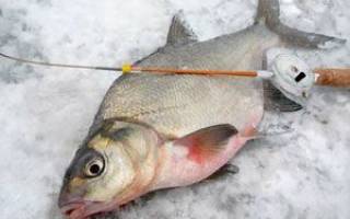 Зимняя рыбалка на черта