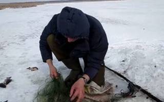 Ловля рыбы зимой сетями
