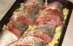 Рыба белый амур рецепты приготовления