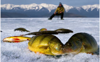 Зимняя рыбалка на онеге