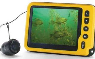Самодельная подводная камера для рыбалки